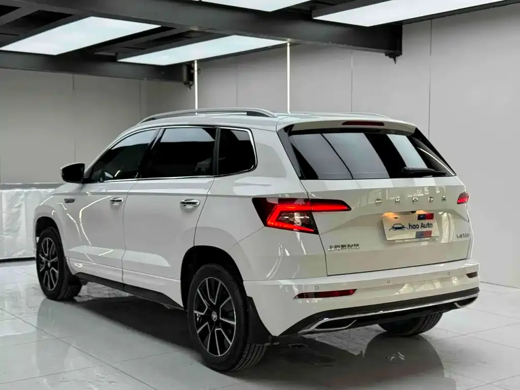 Skoda Karoq — фото 6