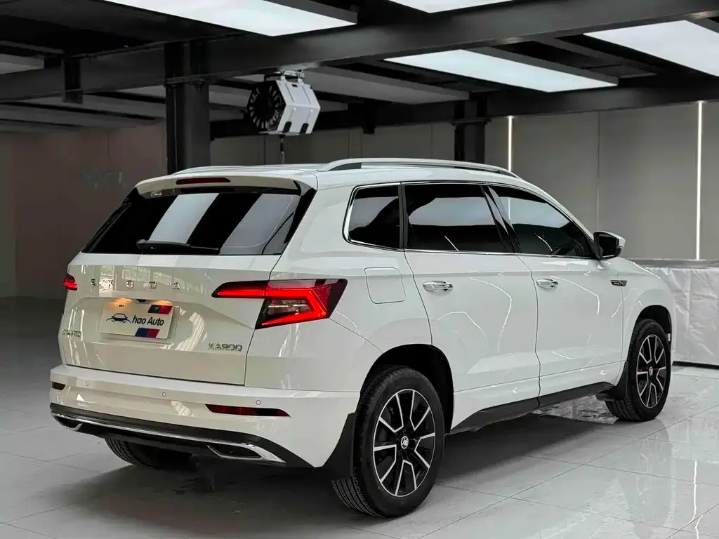 Skoda Karoq — фото 7