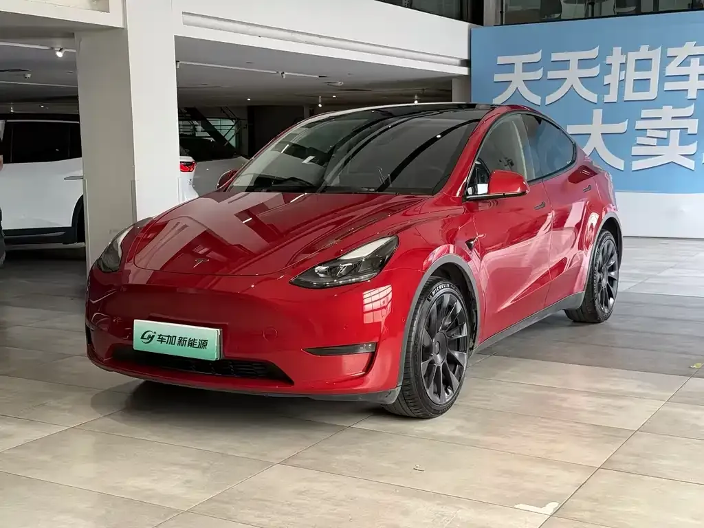 Tesla Model Y — фото 1