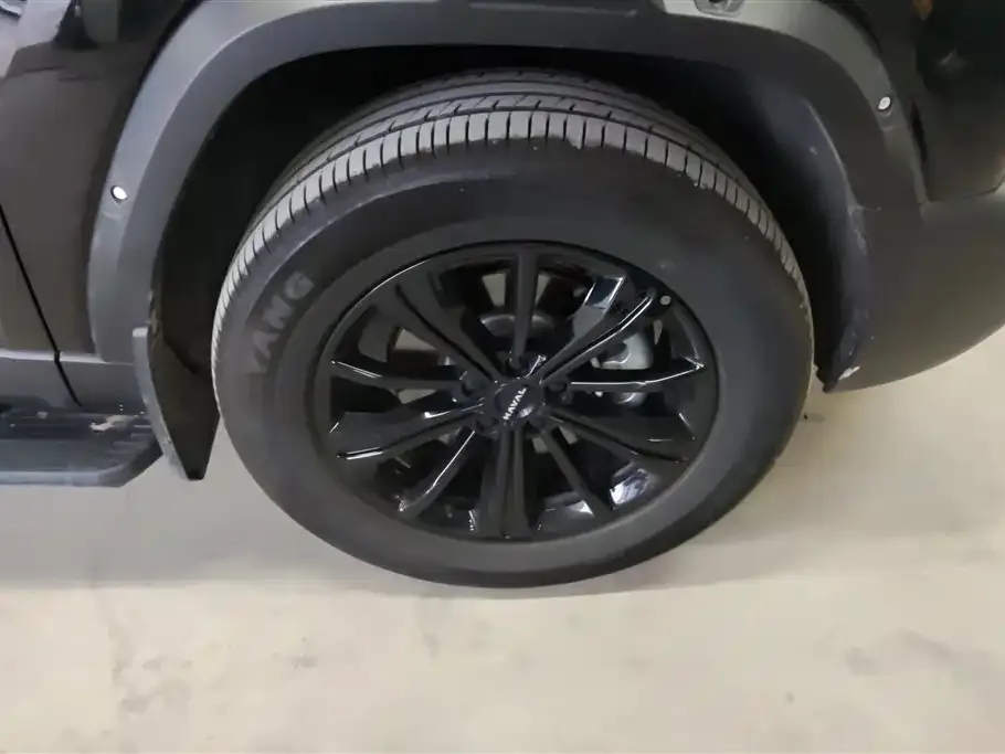 Haval 长城猛龙 PLUS — фото 2
