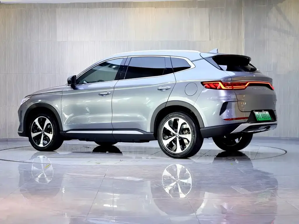 BYD PLUS New Energy — фото 8