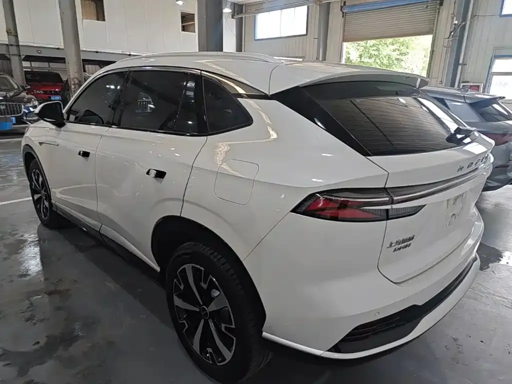 Roewe D5X DMH — фото 10