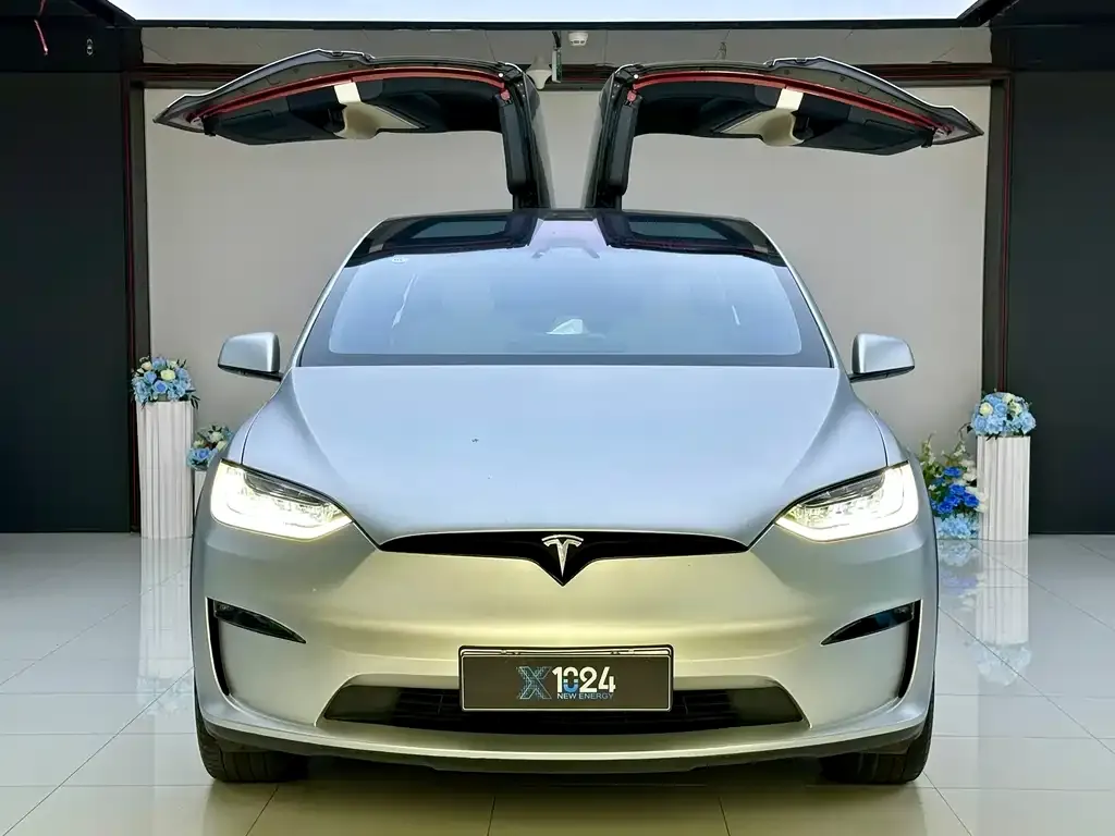 Tesla Model X — фото 5
