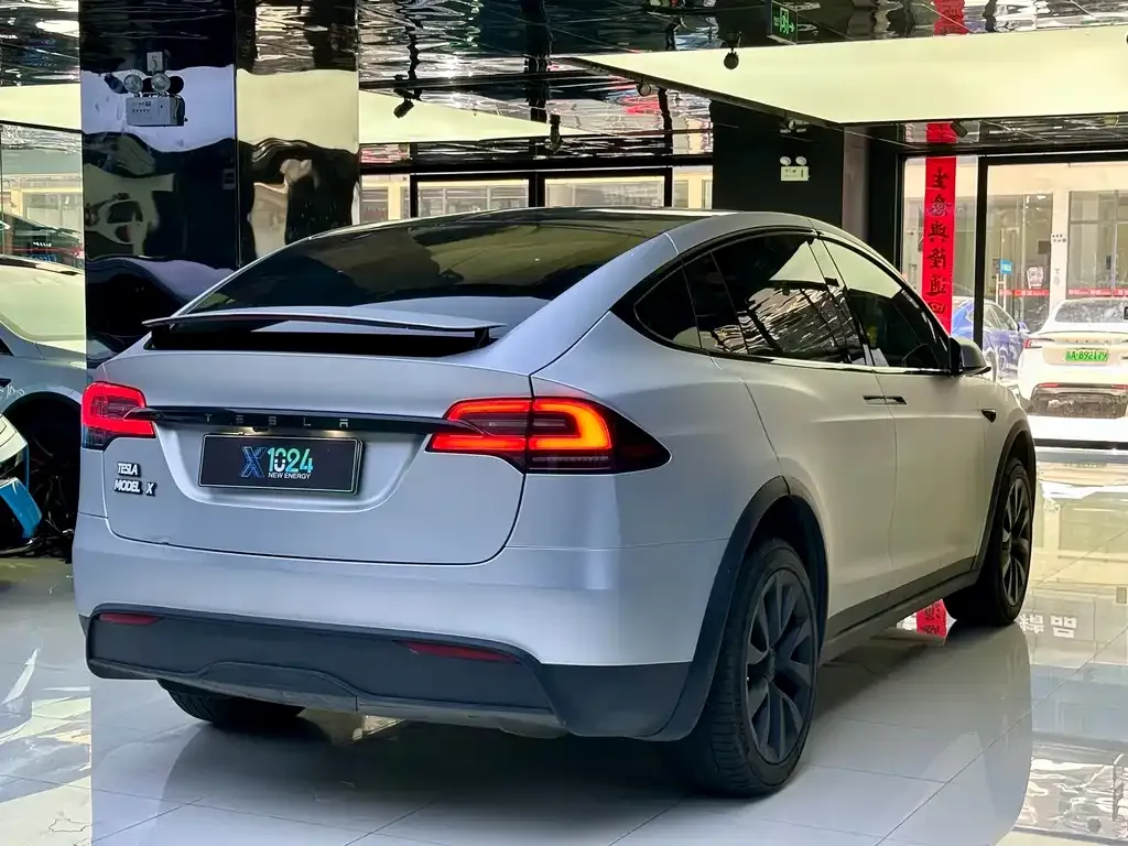 Tesla Model X — фото 9