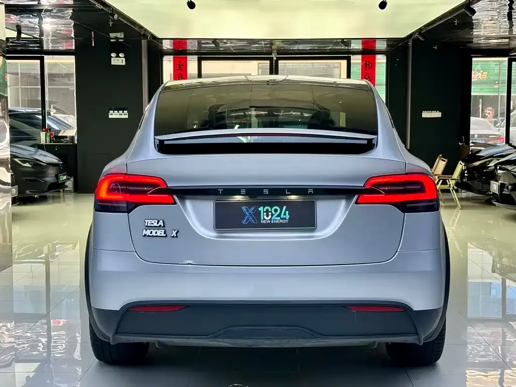 Tesla Model X — фото 8