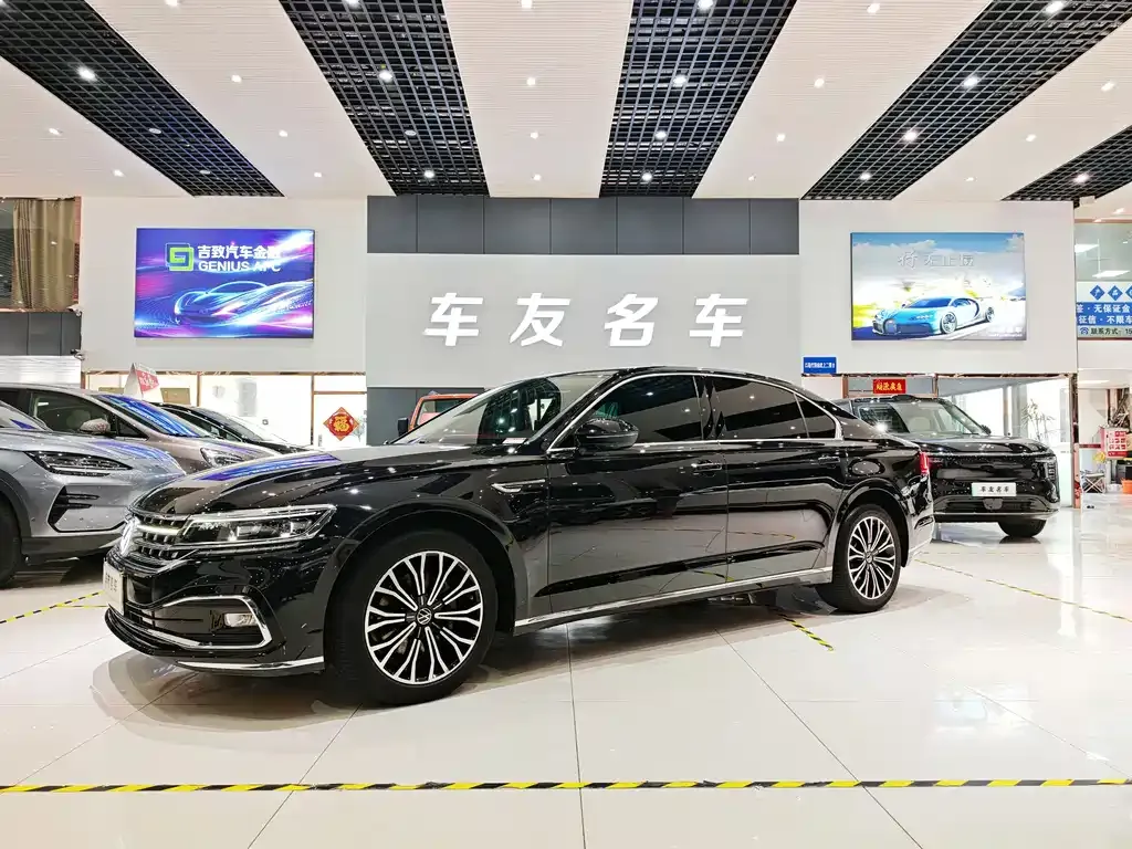 Volkswagen Phideon — фото 6