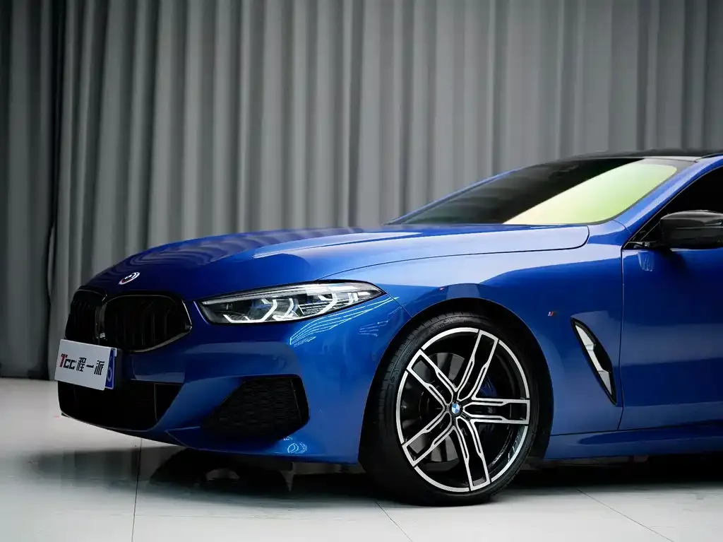 BMW 8 Series — фото 4