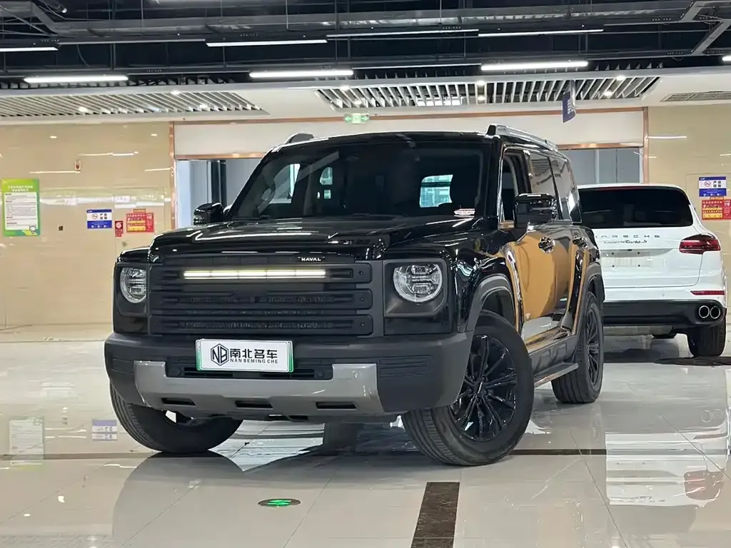 Haval Menglong New Energy — фото 1