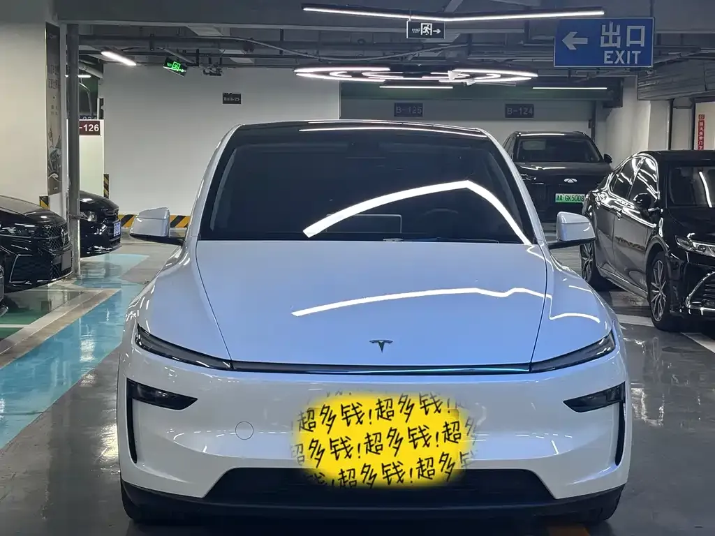 Tesla Model Y — фото 10