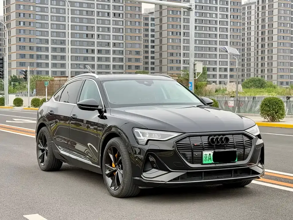 Audi e-tron (Import) — фото 9