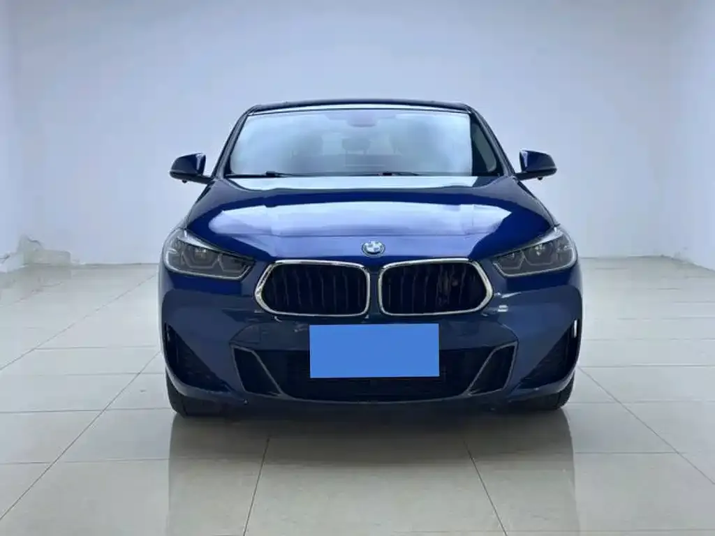 BMW X2 — фото 1