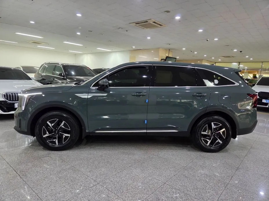 Kia Sorento — фото 10