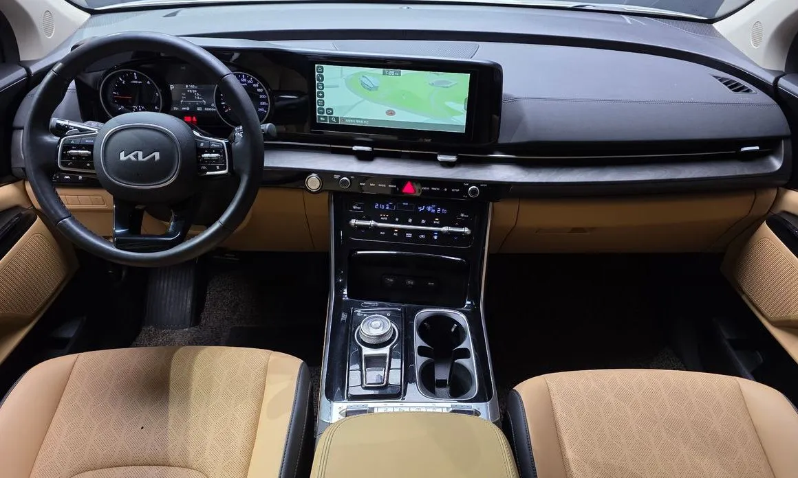 Kia Carnival — фото 10