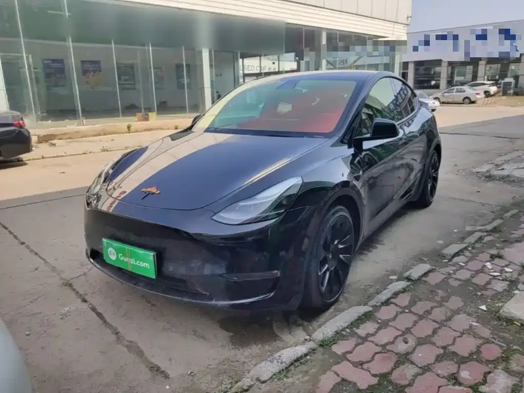 Tesla Model Y — фото 9
