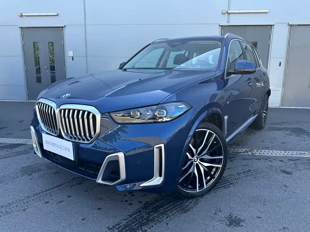 BMW X5 — фото 1