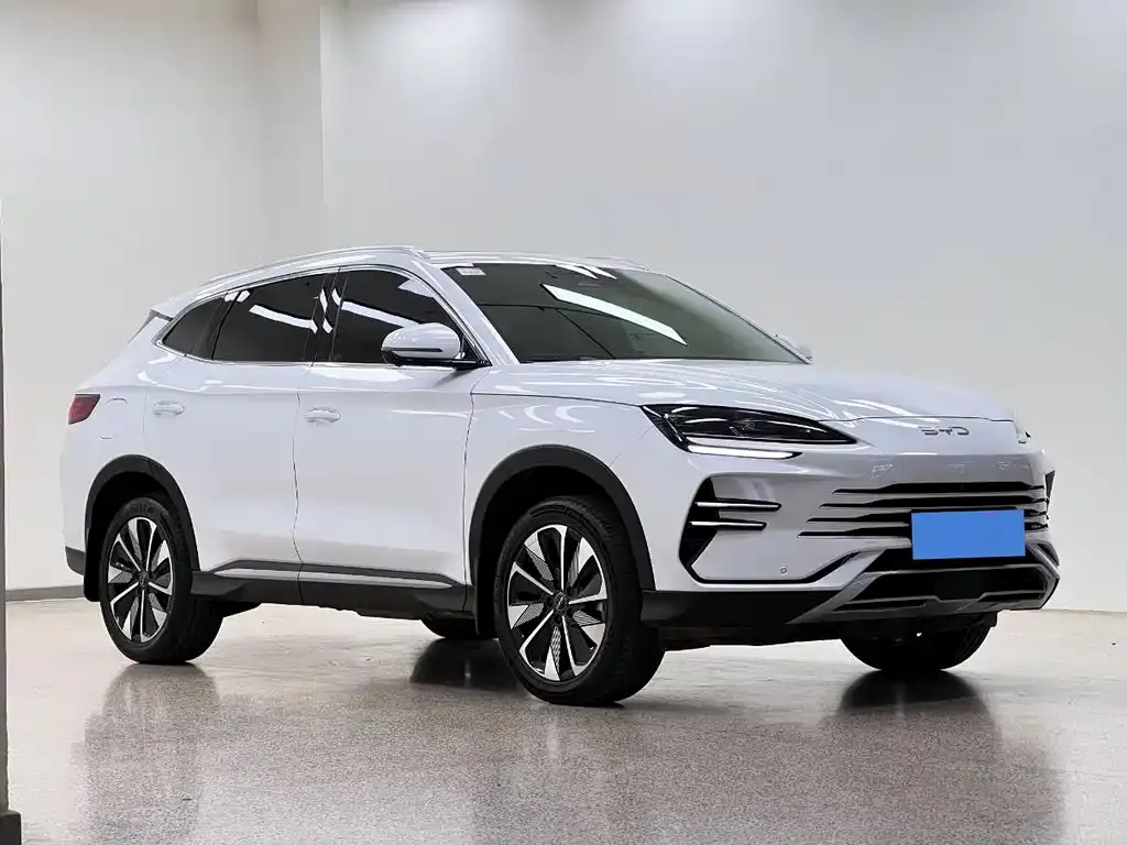 BYD PLUS New Energy — фото 6