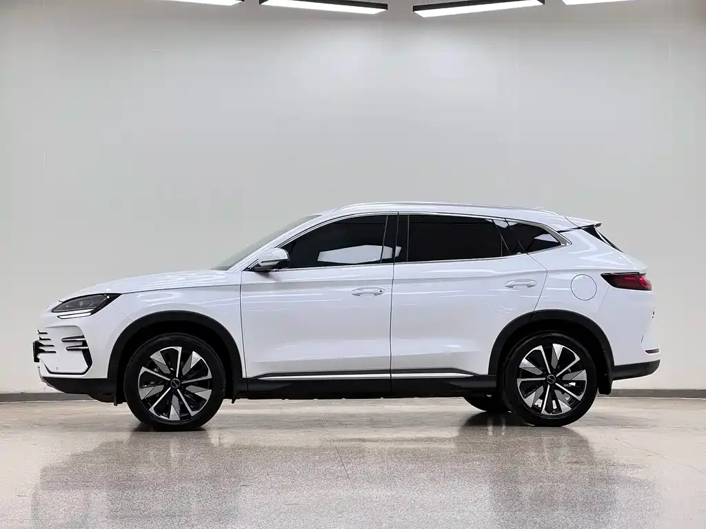 BYD PLUS New Energy — фото 4