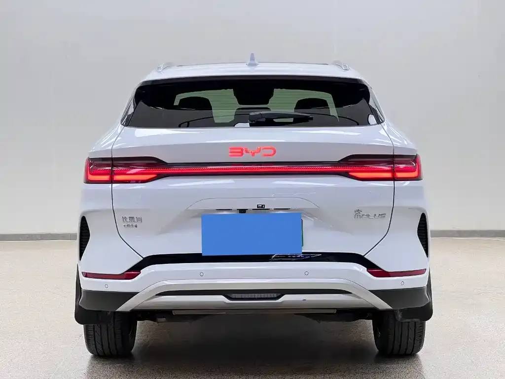 BYD PLUS New Energy — фото 10