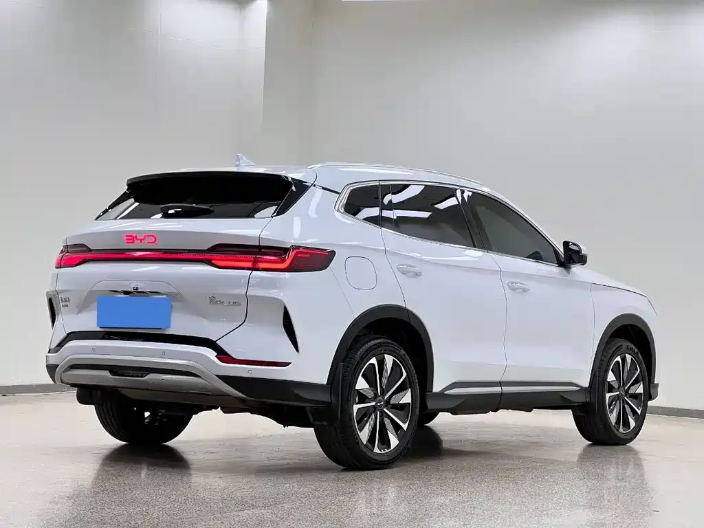 BYD PLUS New Energy — фото 5