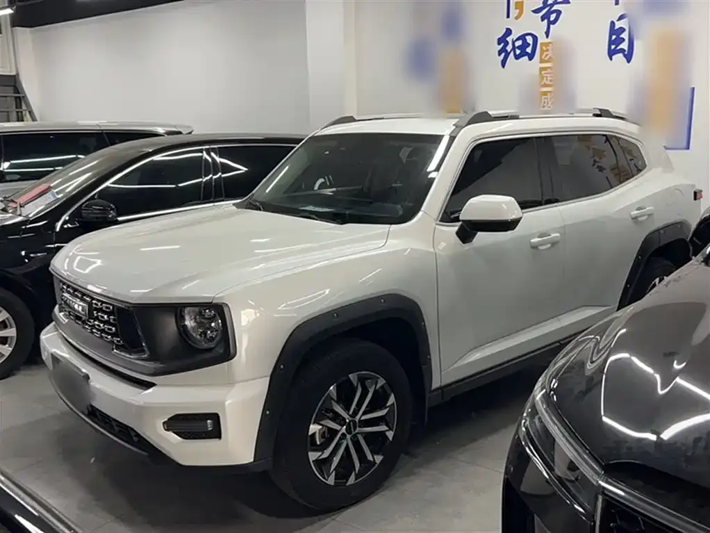 Haval Big Dog PLUS — фото 10