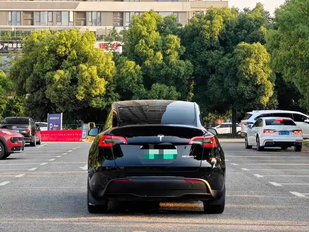 Tesla Model Y — фото 6