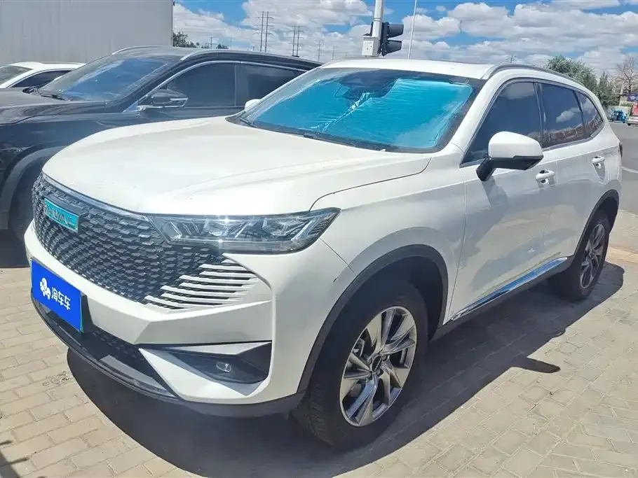 Haval H6 New Energy — фото 1