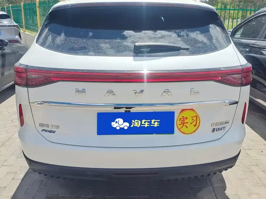 Haval H6 New Energy — фото 9