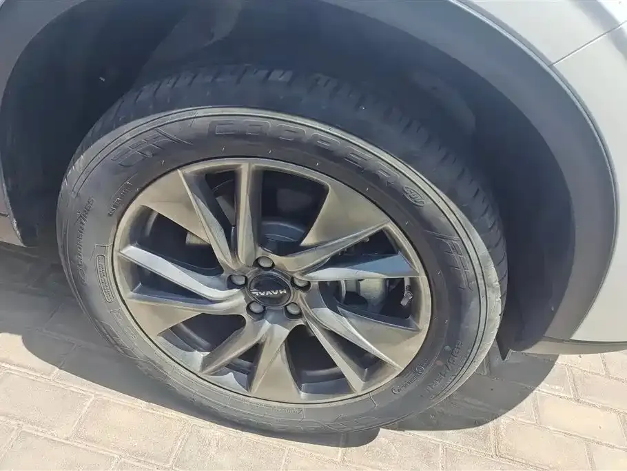 Haval H6 New Energy — фото 10