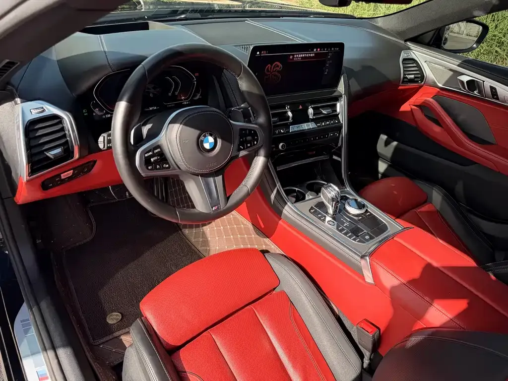 BMW 8 Series — фото 10
