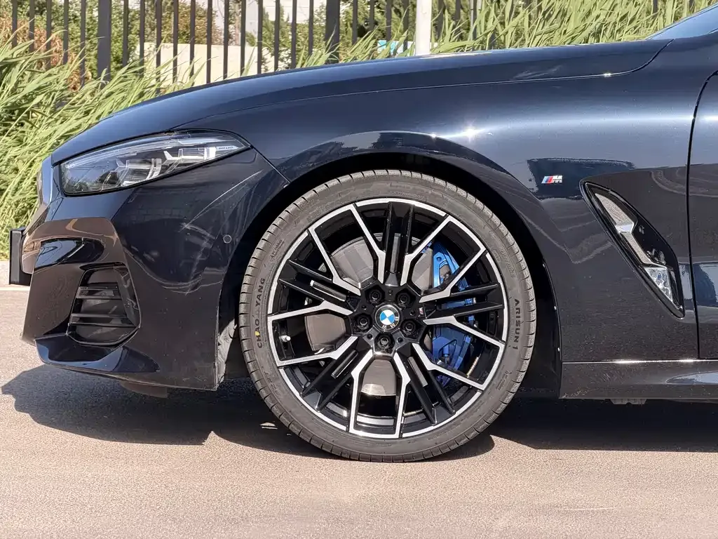 BMW 8 Series — фото 5