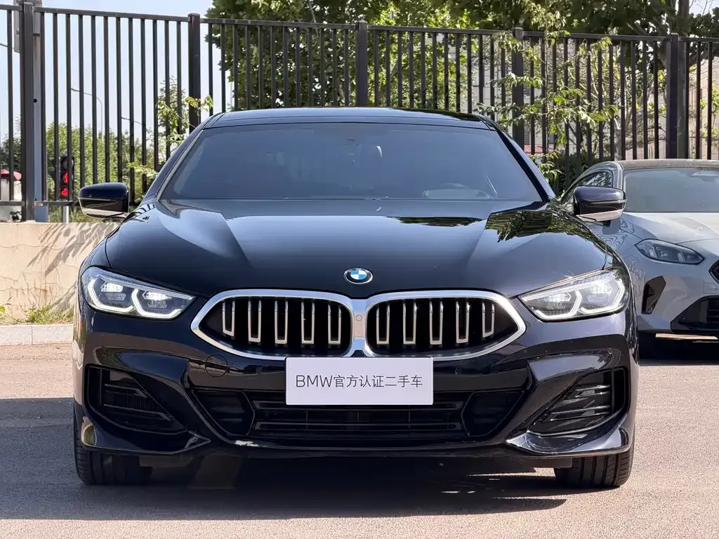 BMW 8 Series — фото 4