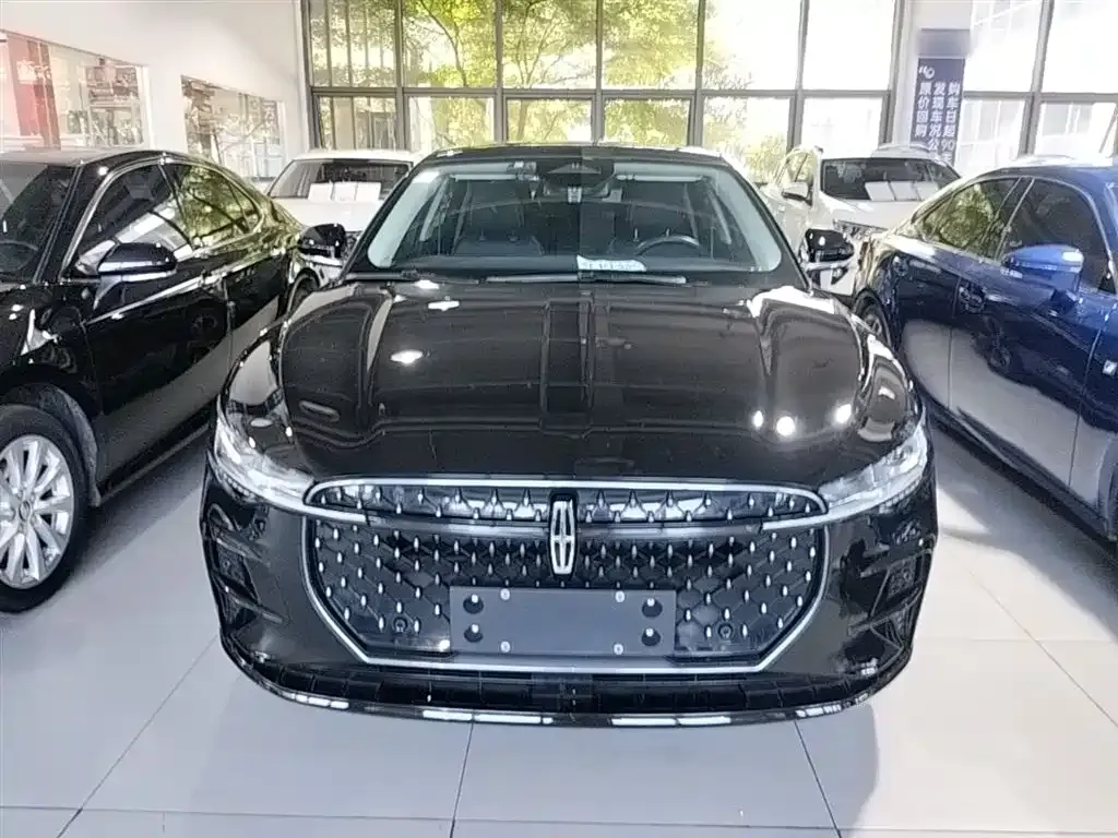 Lincoln Z — фото 10