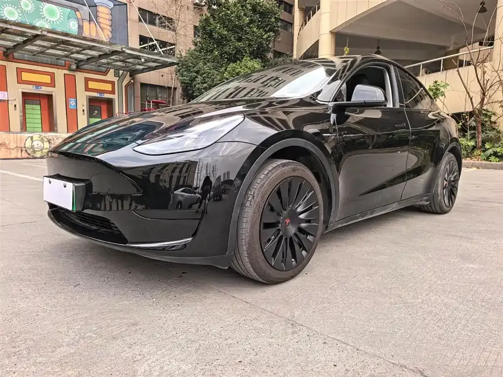 Tesla Model Y — фото 8