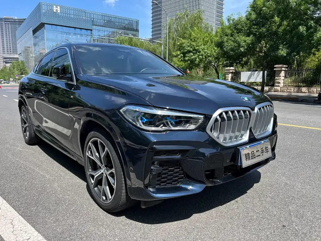 BMW X6 — фото 5
