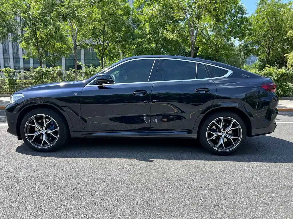 BMW X6 — фото 10