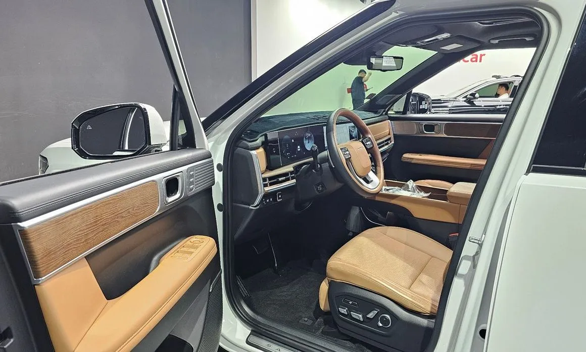 Hyundai Santafe — фото 10