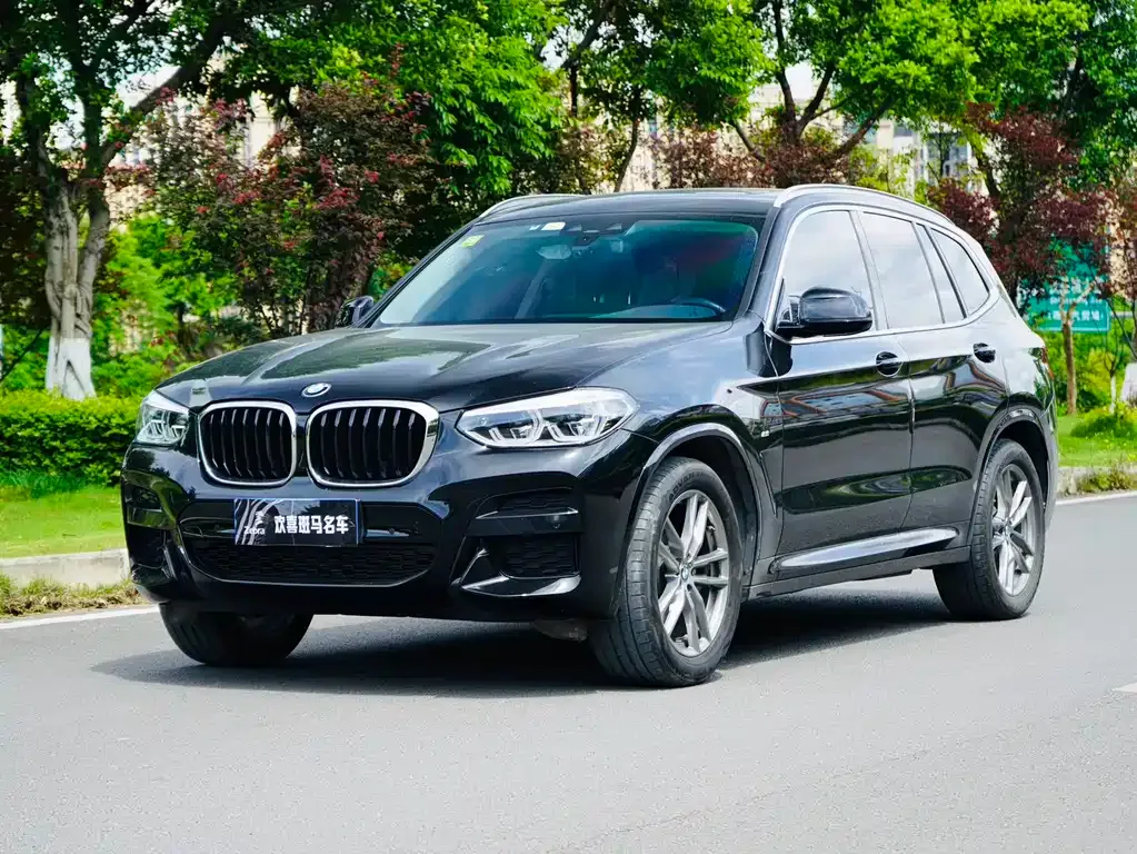 BMW X3 — фото 1