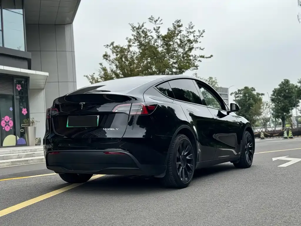 Tesla Model Y — фото 6