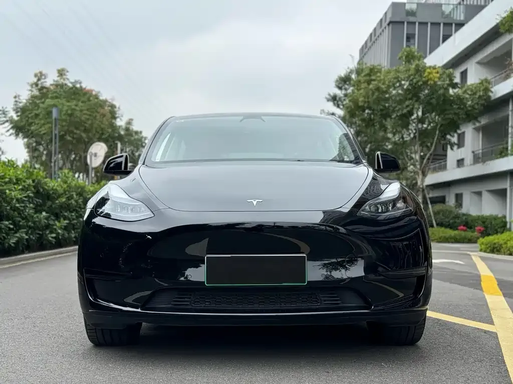 Tesla Model Y — фото 3