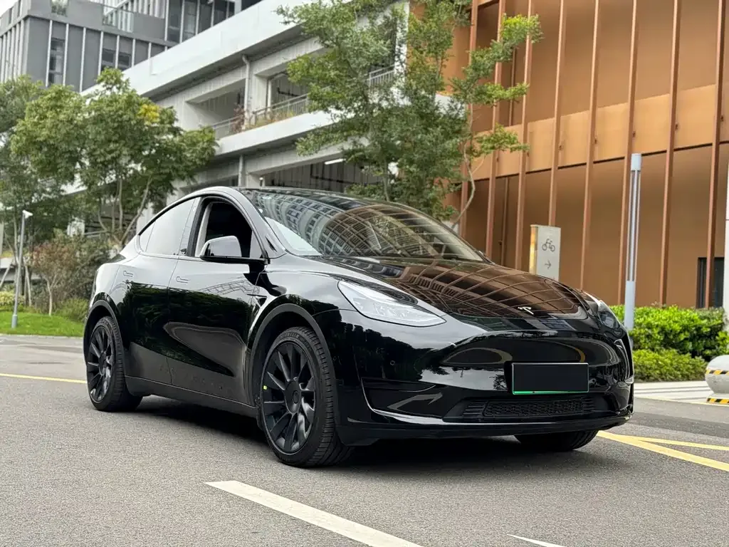 Tesla Model Y — фото 4