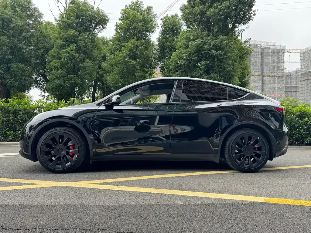 Tesla Model Y — фото 2