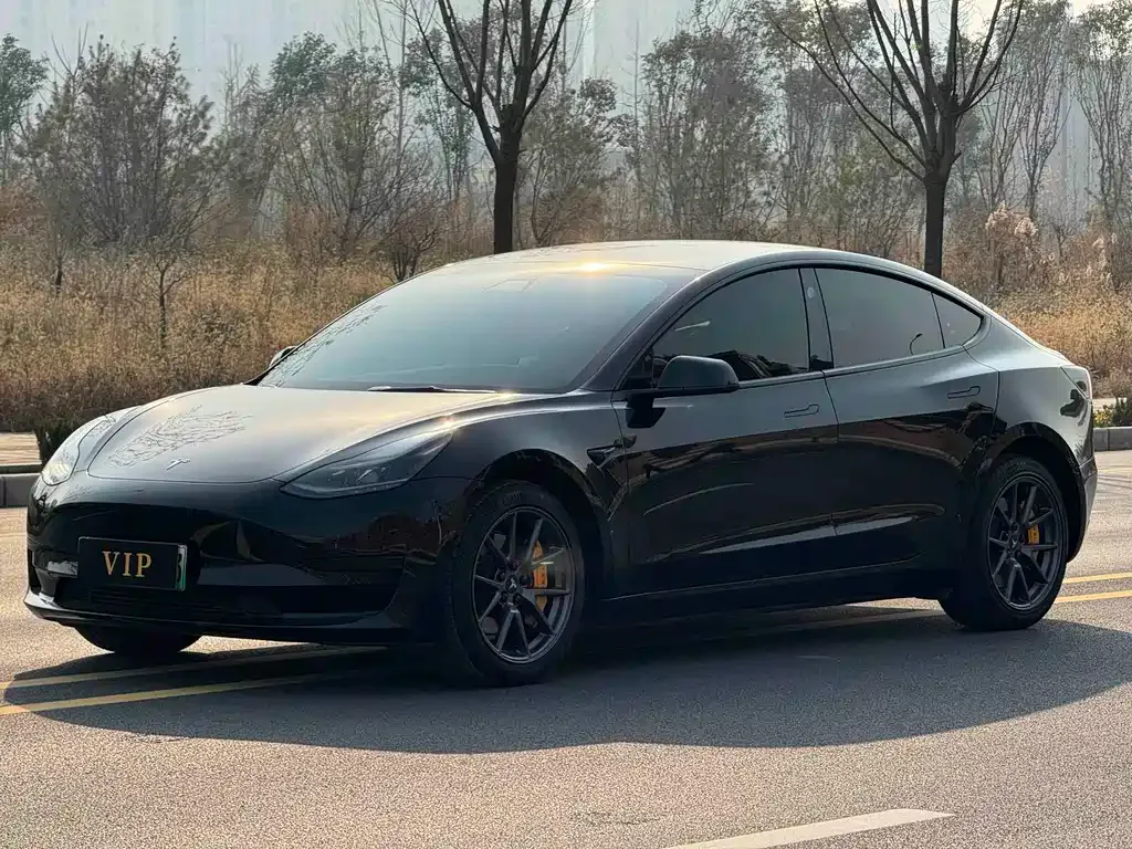 Tesla Model 3 — фото 1