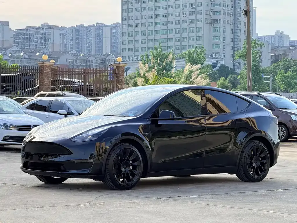 Tesla Model Y — фото 3