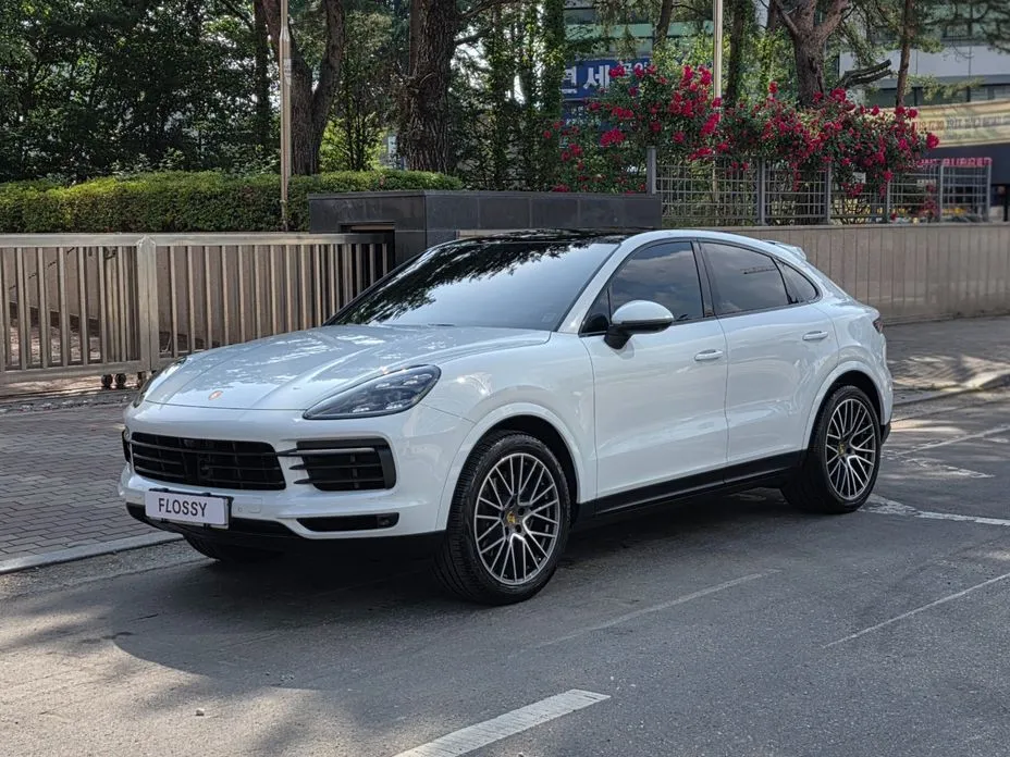 Porsche Cayenne — фото 1