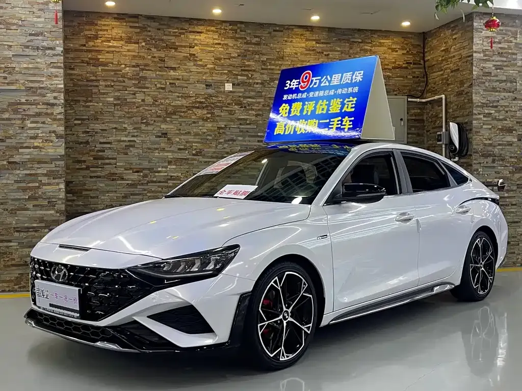 Hyundai Fista — фото 1
