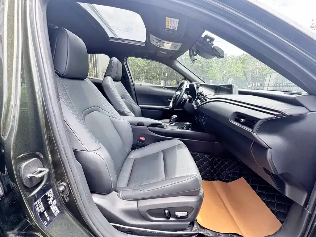 Lexus UX New Energy — фото 6