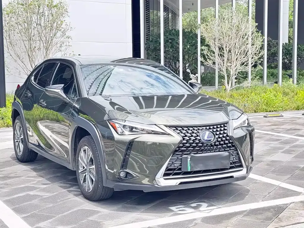 Lexus UX New Energy — фото 7
