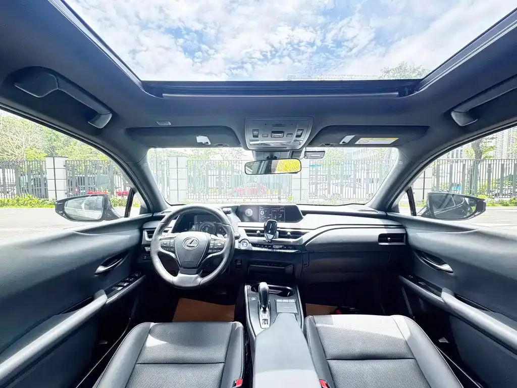 Lexus UX New Energy — фото 9
