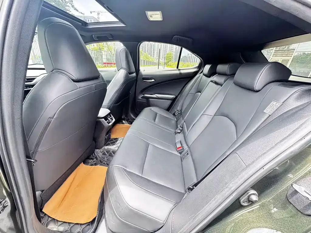 Lexus UX New Energy — фото 4