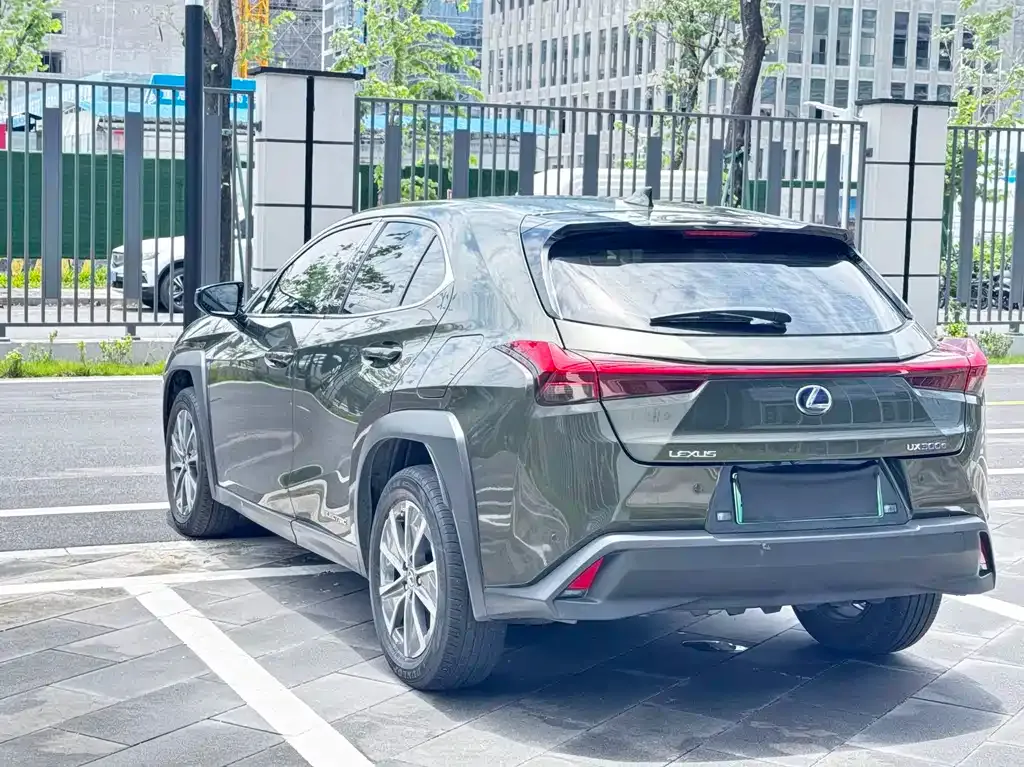 Lexus UX New Energy — фото 10